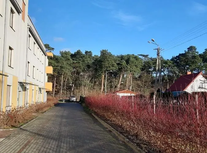 Mt Burszynowe Osiedle * ג'אנטאר