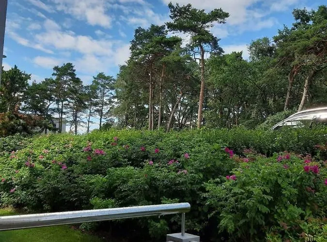 Mt Burszynowe Osiedle דירה ג'אנטאר