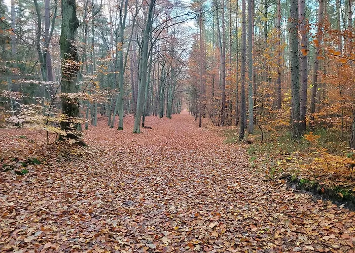 דירה Mt Burszynowe Osiedle ג'אנטאר