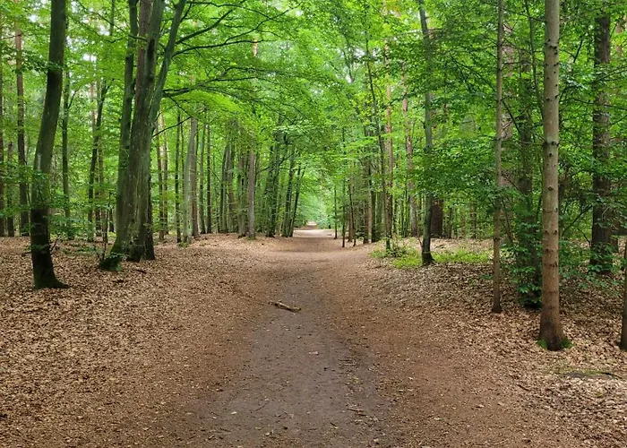 Mt Burszynowe Osiedle *